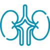 nephrology nephrology