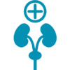 urology urology