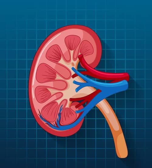 dr-treatment-urology